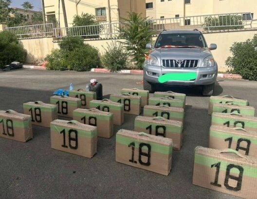 4a2acd8c-3f45-4af9-b24b-21bf6261e173.jfif