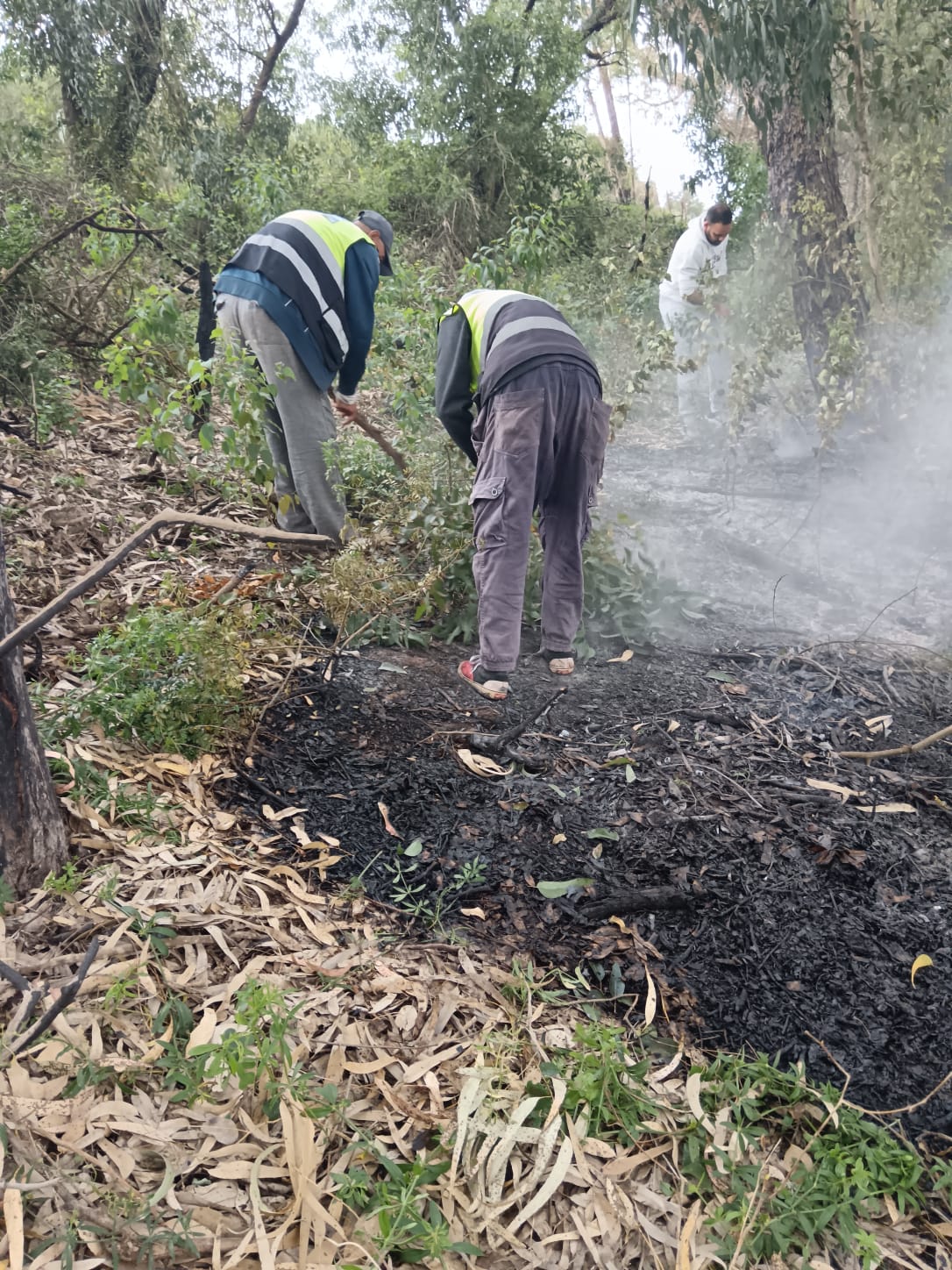 17219b14-0dba-4e21-b972-f0887e4f6445.jfif