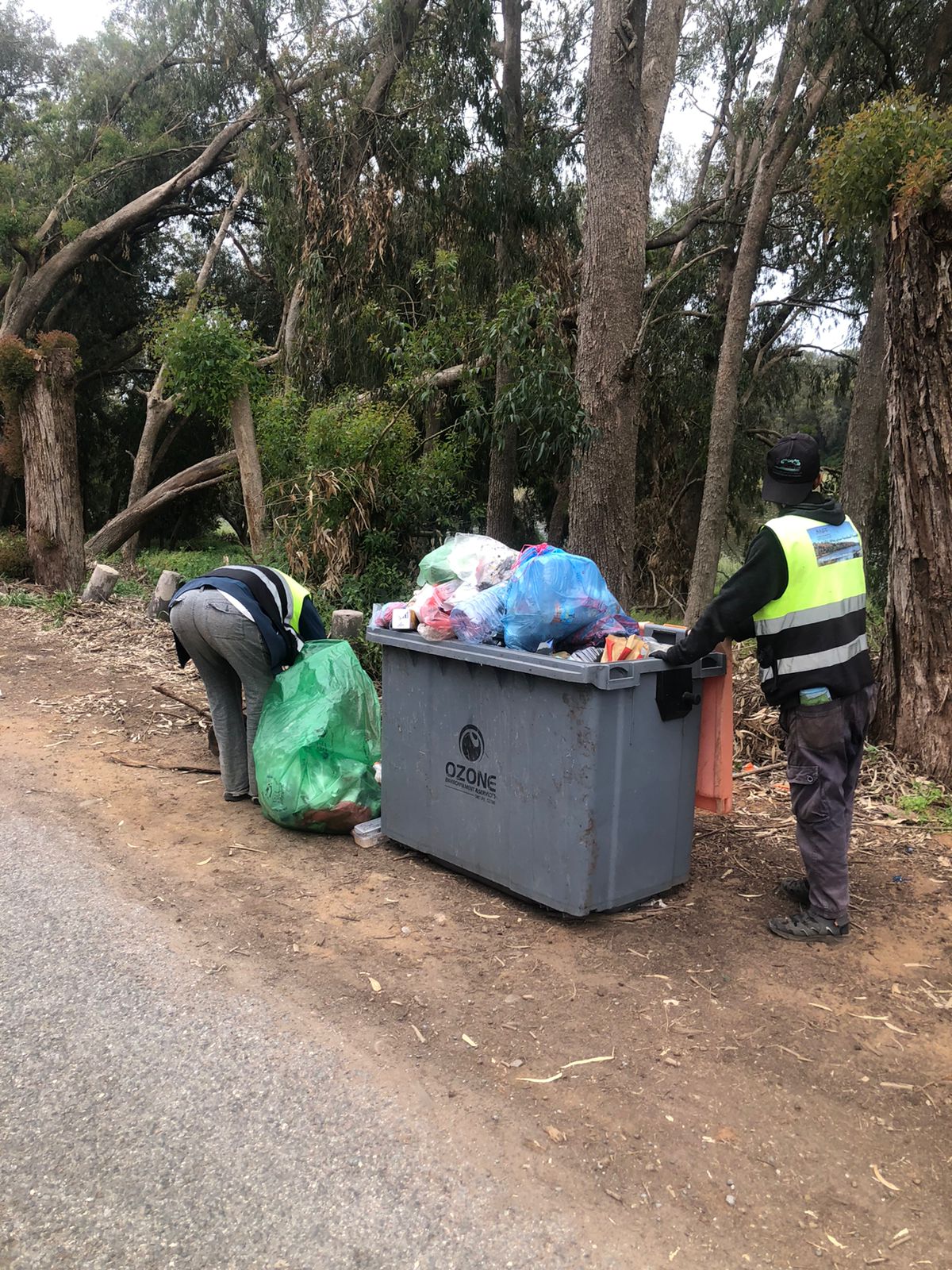 a1cb4652-a43f-4fed-9bb5-c46fdfd6177c.jfif