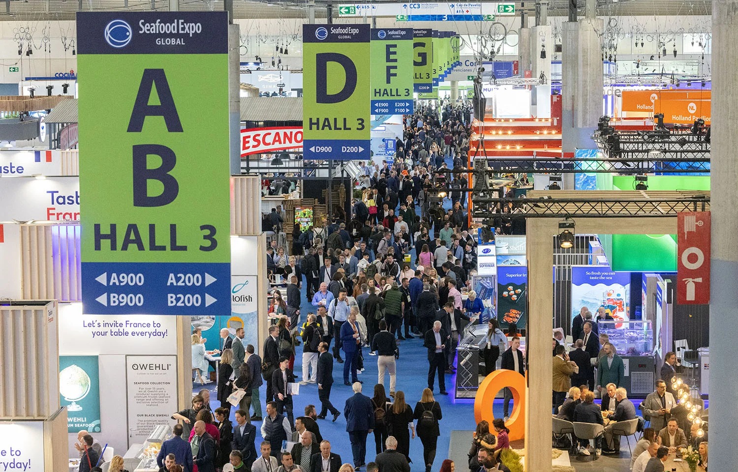 4c6163e3-fe00-408d-9c25-afbaf094c5e4.jfif