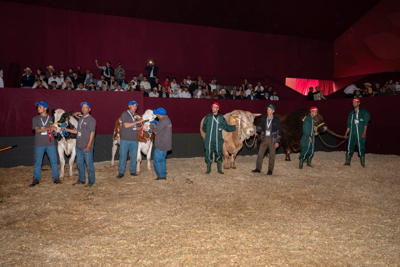 c48a0b27-84d2-49eb-b9f3-da135dacc158.jfif