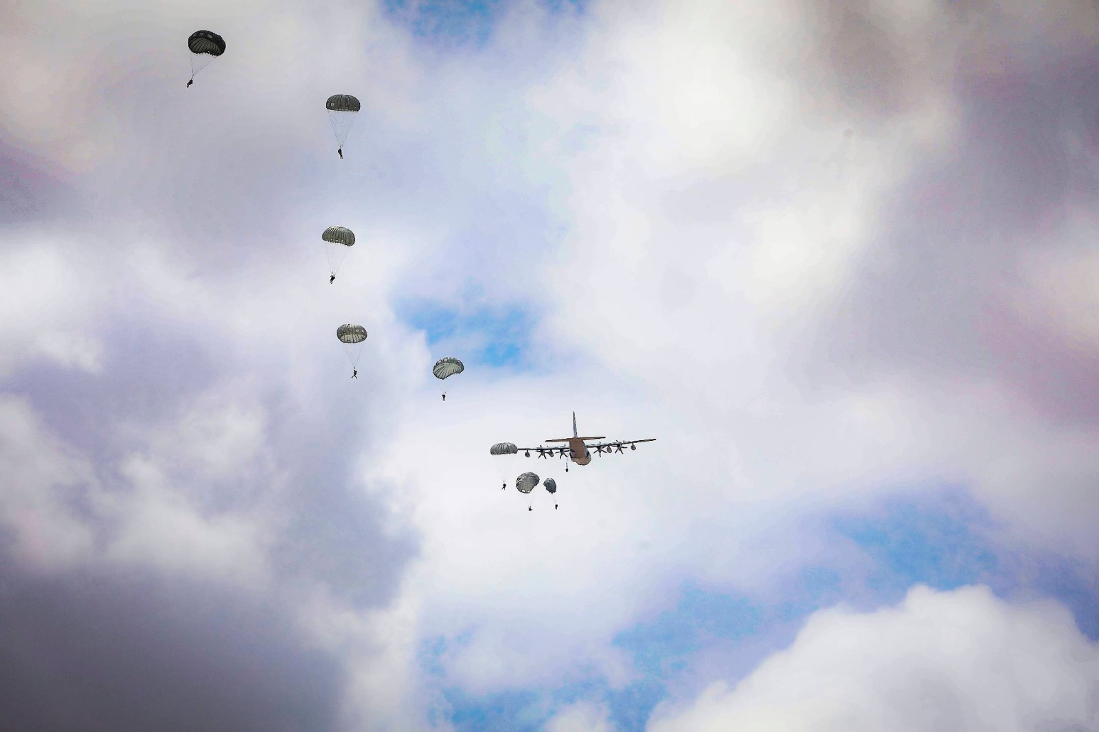 786eca27-6153-4d54-a426-fde1e927e40c.jfif