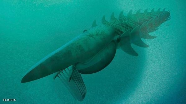 علماء يطلقون اسما مغربيا على مخلوق بحري قديم بحجم الإنسان