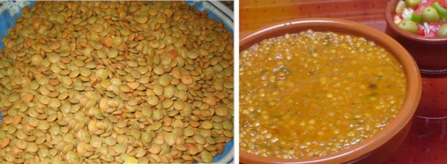 الأكلة المفضلة لدى المغاربة "العدس" تستحوذ على 60 في المائة من أراضي جهة الرباط سلا