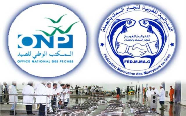 الفيدرالية المغربية لتجار السمك بالجملة تشل حركة البيع بموانئ وأسواق الجملة