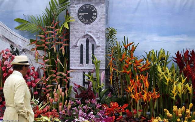 تتويج حديقة انجليزية مغربية في "معرض تشلسي للزهور" بلندن