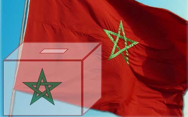 الانتخابات الجماعية و الجهوية  بعيون مغاربة المهجر بهولندا