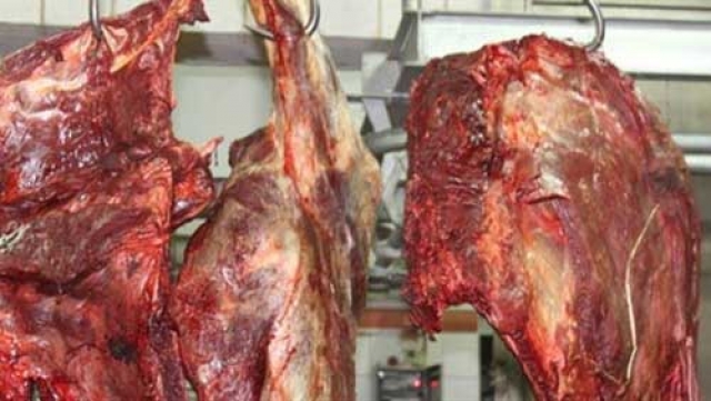 حجز وإتلاف حوالي 11 ألف و500 كلغ من اللحوم البيضاء والحمراء بطنجة والعرائش