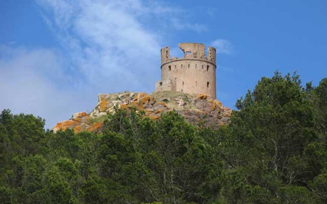 وأخيرا يفرج عن "قلعة تازوضا" بازغنغان لتدخل لائحة التراث الوطني