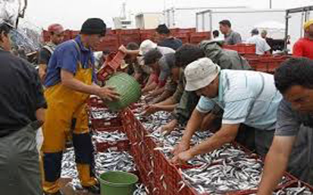 من يضغط على مجهزي مراكب صيد الأسماك السطحية"  RSW"،لإغراق السوق بالسمك "la fausse pêche" ؟