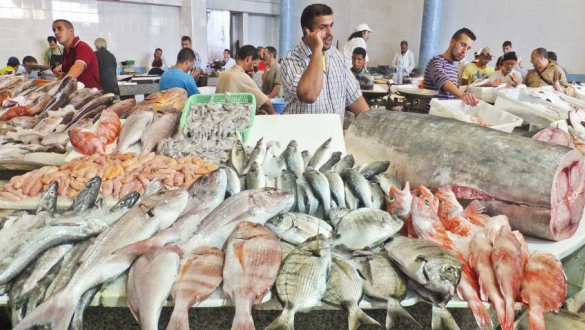 أرقام صادمة من طنجة حول التهاب الأسواق واحتكار تجارة الأسماك..!!