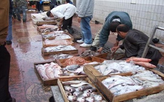 جامعة الصيد البحري: هذه هي أسباب ارتفاع أسعار السمك خلال شهر رمضان