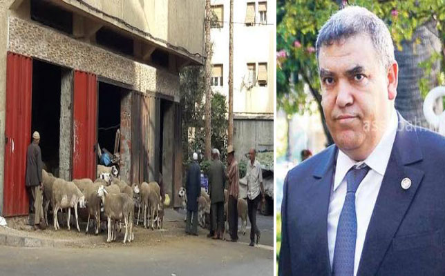 وزارة الداخلية تحذر من الكراء العشوائي لـ "كاراجات" بيع أضاحي العيد