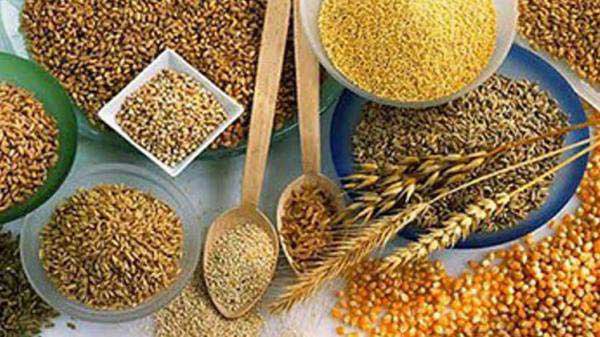 خبراء مغاربة وألمان يدرسون سبل تحسين جودة سلسلة إنتاج الحبوب