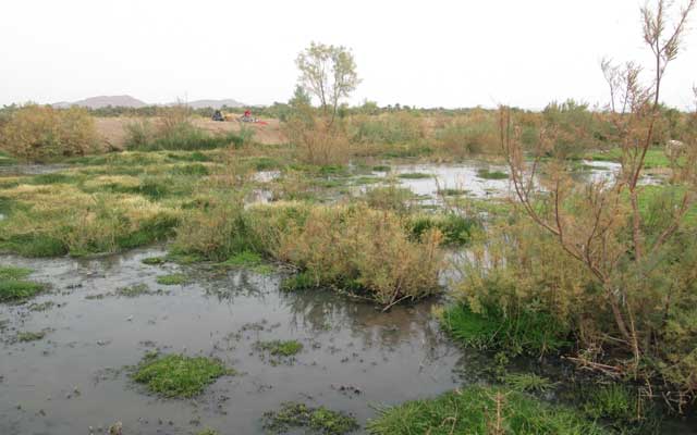 مياه الصرف الصحي تهدد حياة ساكنة مدينة زاكورة