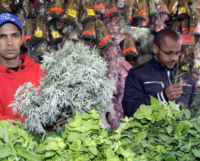 مخاطر تسمم النعناع تضع المستهلك المغربي بين مطرقة الجشع وسندان غياب المراقبة