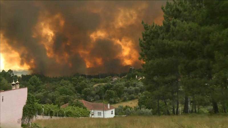 إثر موجة الحر.. النيران تلتهم محاصيل آلاف الهكتارات بفرنسا