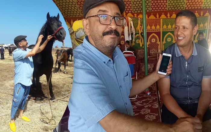 " بورصة الخيل " : الخيول الغالية الثمن لا تعرض في الأسواق المغربية وهذا سعرها