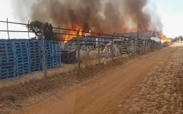 حريق مهول بشركة "كوماموسي" لصناعة الخشب بضواحي المحمدية