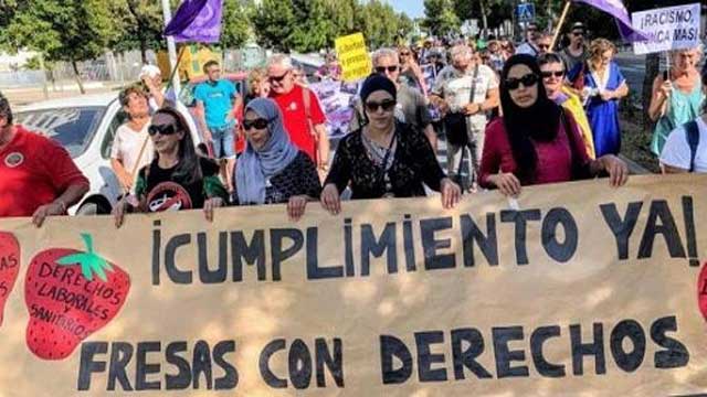 محكمة إسبانية ترفض إعادة النظر في ملف “انتهاكات” طالت عاملات مغربيات في حقول الفراولة