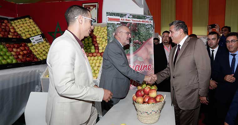 خبراء يسلطون الضوء على رهان "تسويق التفاح رافعة لتشغيل الشباب" بميدلت