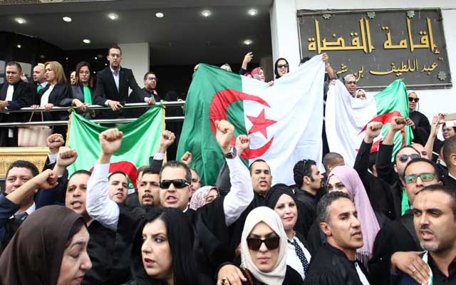الجزائر .. نصف مليون عامل فقدوا وظائفهم إثر تحقيقات الفساد وحبس رجال الأعمال
