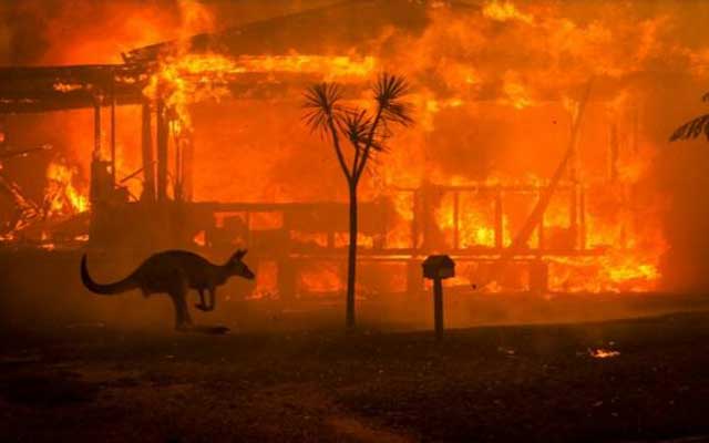 حرائق غابات أستراليا تؤدي إلى الإخلاء الإجباري
