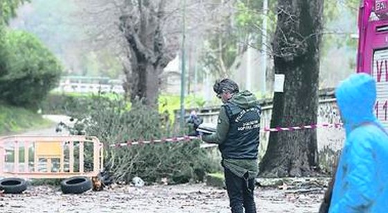 شجرة تقتل مهاجرا مغربيا بايطاليا والتحقيقات تجر أربعة مسؤولين للقضاء