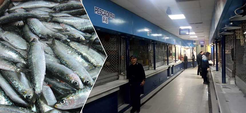 المغرب يشعل حرب السمك ضد الإسبان بسبتة المحتلة