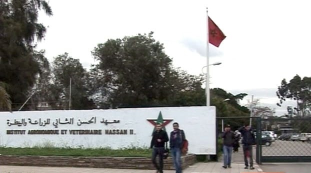الجمعية المغربية للطلبة المهندسين الزراعيين تنظم منتداها السنوي