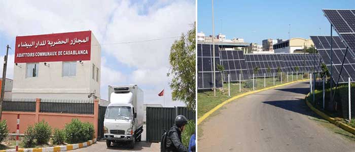 مجازر الدار البيضاء تستنجد بالطاقة الشمسية لترشيد النفقات