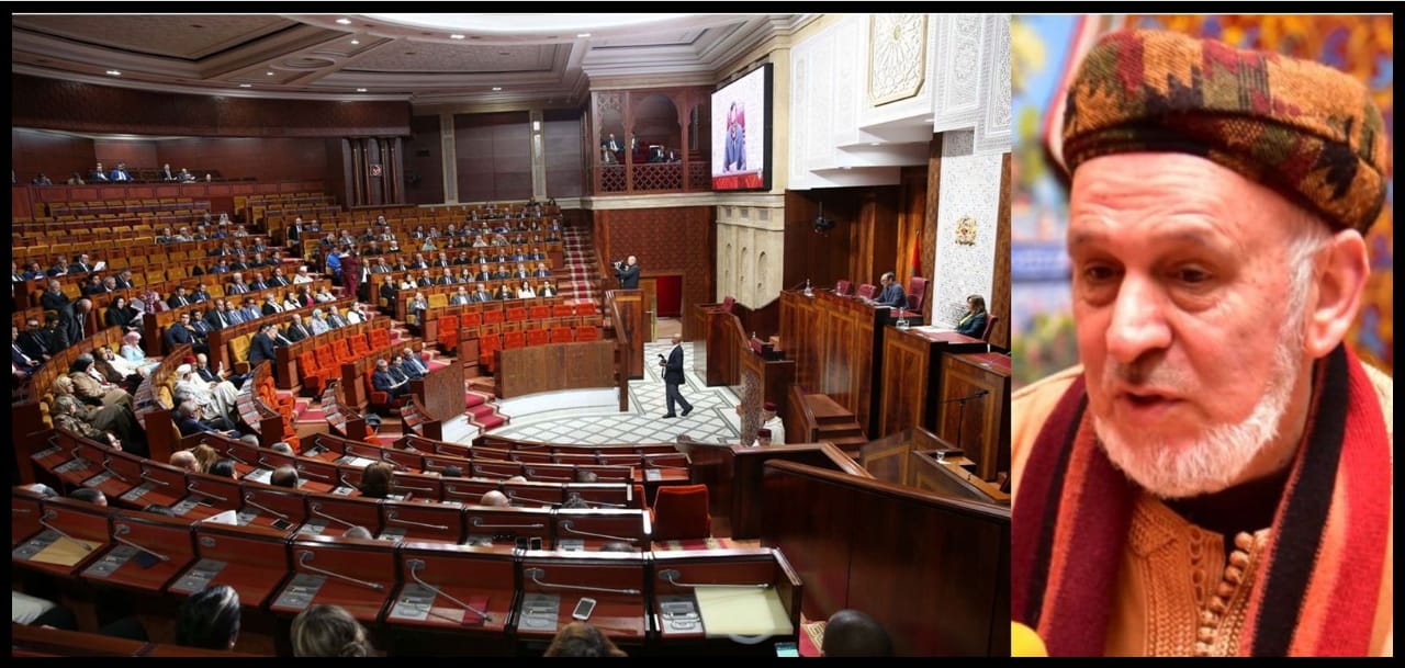 بنيس: البرلمان ومطالب 20 فبراير