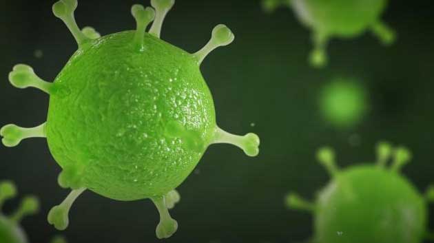 منظمة الصحة العالمية: فيروس "كورونا" أزمة صحية عالمية كبيرة في عصرنا