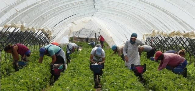 7000 عاملة مغربية بدون عمل باسبانيا مع مطلع يونيو