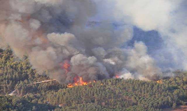 حريق مهول يلتهم غابات أوريكا بإقليم الحوز