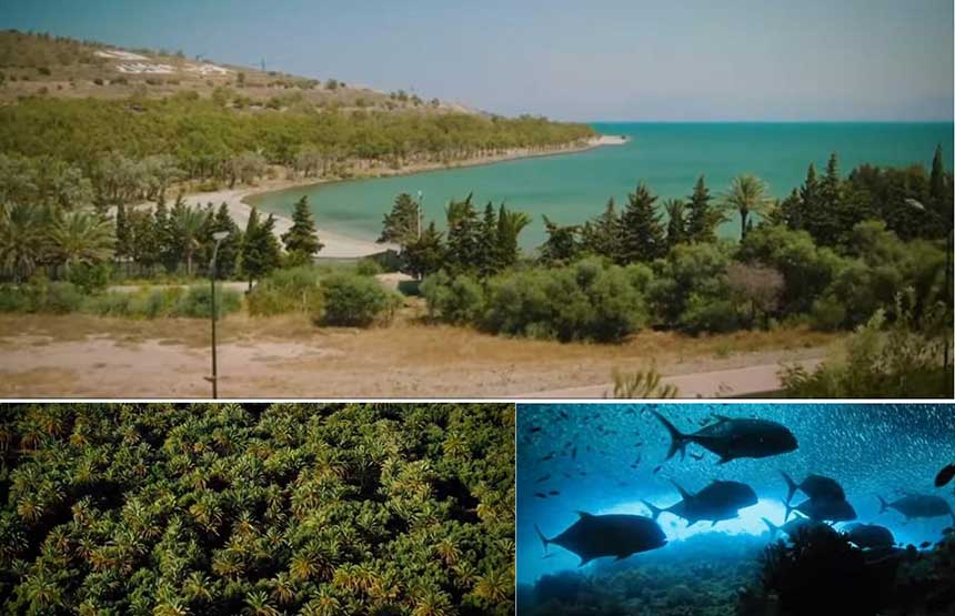 المغرب يحتفل باليوم العالمي للبيئة تحت شعار "حان وقت الطبيعة"