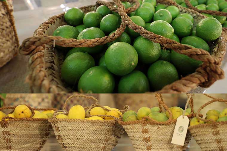 مهرجان ليوا للرطب بالإمارات يعلن عن نتائج مسابقات الليمون والمانجو