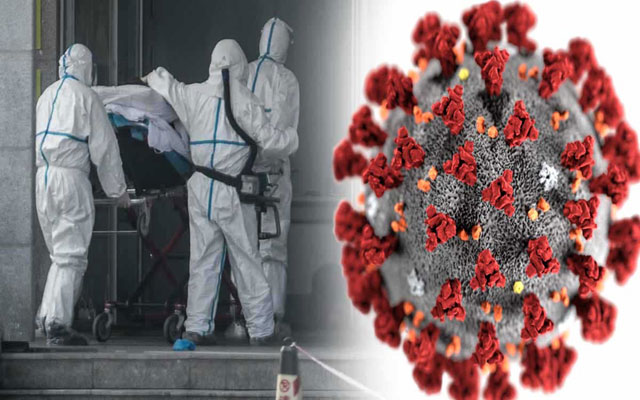 وزارة الصحة تسجل 228 حالة إصابة جديدة بفيروس كورونا المستجد