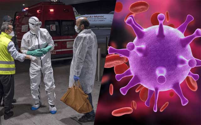 الحصيلة اليومية... تسجيل 5492 حالة إصابة جديدة بفيروس كورونا