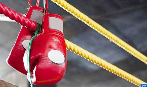 جامعة الملاكمة تدعم 181 جمعية رياضية ضد تداعيات كورونا
