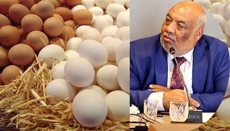 الزعيم: العاملة سرقت أكثر من 10 آلاف بيضة من مصنعي وليس كما يُروج خصومي