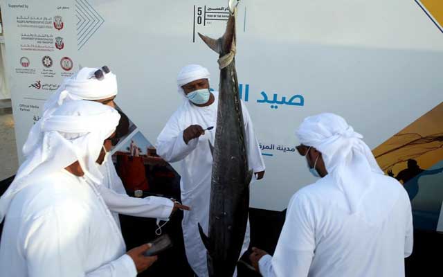 تنظيم  بطولة الظفرة الكبرى لصيد سمك الكنعد بالإمارات 