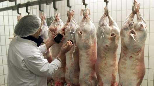 مجازر الدار البيضاء تدخل نادي تسويق اللحوم الحلال في العالم