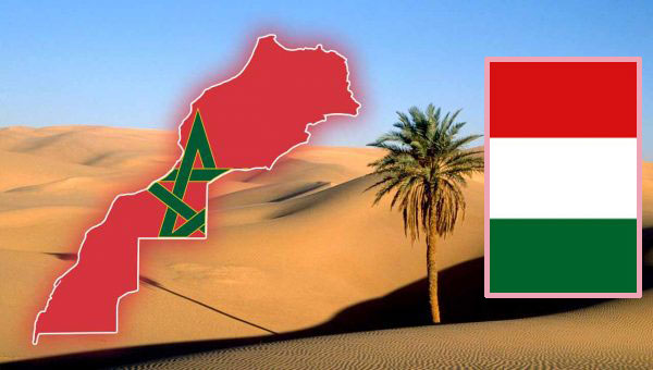 هنغاريا تنشر رسميا إعلانا مشتركا مع المغرب تدعم فيه مقترح الحكم الذاتي في الصحراء