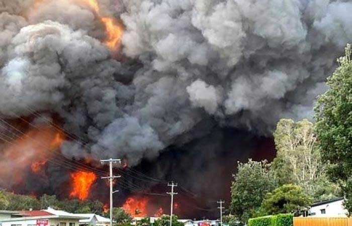 باحثون يحذرون: دخان حرائق الغابات يزيد من إصابات ووفيات كورونا