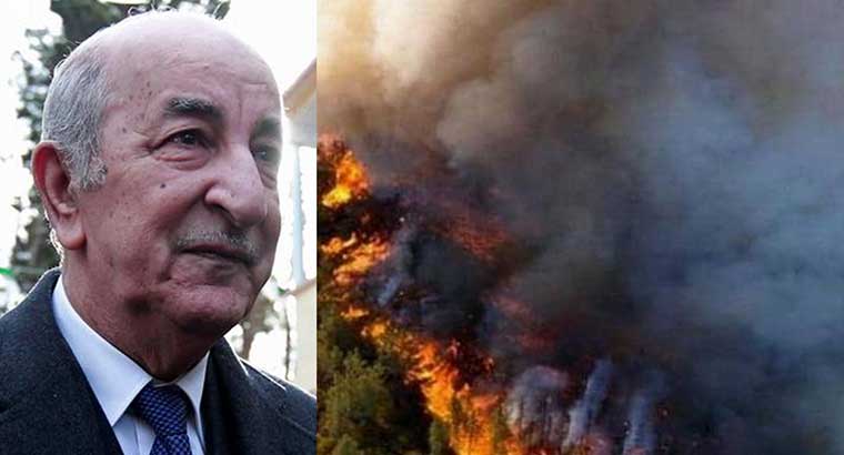 الرئيس الجزائري يلجأ لدول أوروبية لطلب المساعدة لإخماد الحرائق، ولكن...