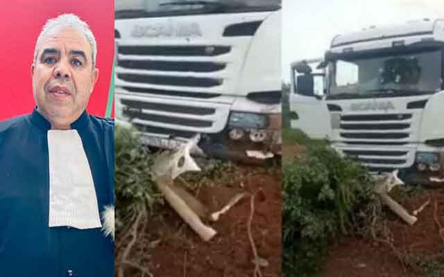 صبري: قتل السائقين المغاربة بمالي يحمل بصمات الجزائر والبوليساريو 