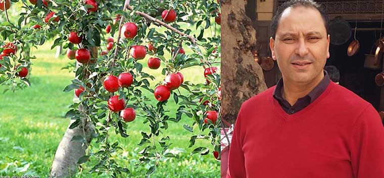 عبد الصمد الشنتوف: حب غامر في ضيعة التفاح