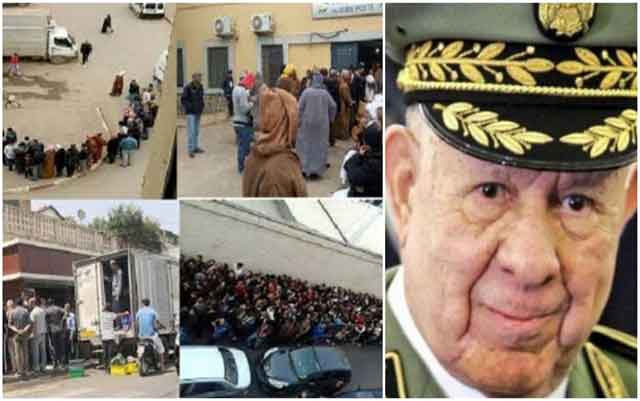 أحمد نورالدين: المقامة الجزائرية في تنزيه الطغمة العسكرية