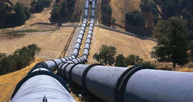 نائبة بمجلس الشيوخ الإيطالي: قرار الجزائر إغلاق أنبوب الغاز المغاربي-الأوروبي تصرف مُدان